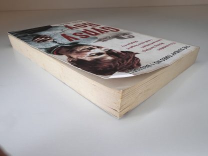 An image of the book Gypsy Boy by Mikey Walsh