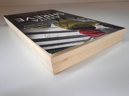 An image of the book Rescue by Anita Shreve