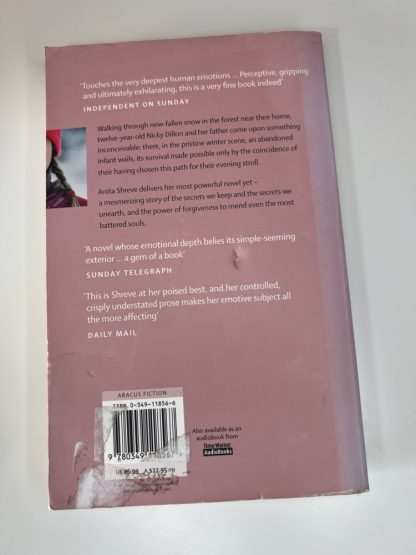 An image of the book Light on Snow by Anita Shreve