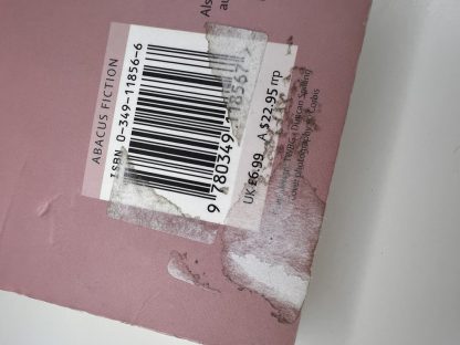 An image of the book Light on Snow by Anita Shreve