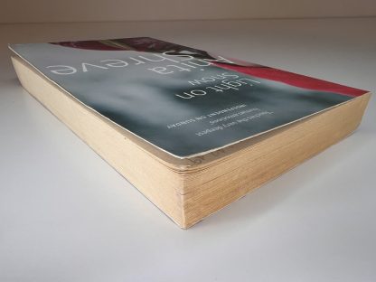 An image of the book Light on Snow by Anita Shreve