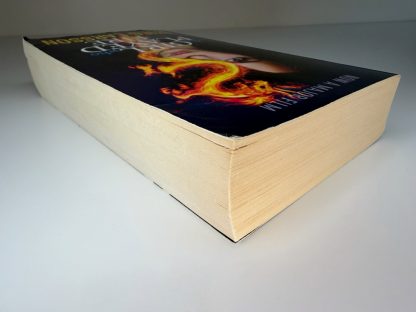 An image of the book The Girl who Played with Fire by Stieg Larsson