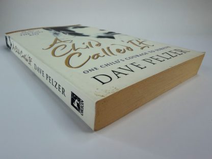 An image of the book A Child Called 'It' by Dave Pelzer