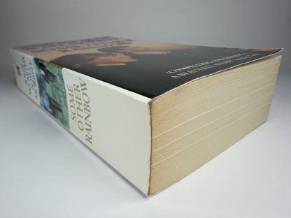 An image of the book Some Other Rainbow by John McCarthy and Jill Morrell