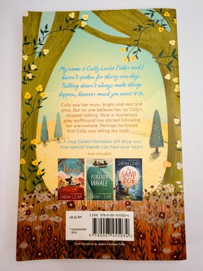 An image of the book A Day Called Homeless by Sarah Lean