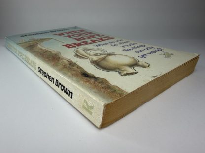 An image of the book When your rope breaks by Stephen Brown