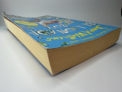 An image of the book Billionaire Boy by David Walliams