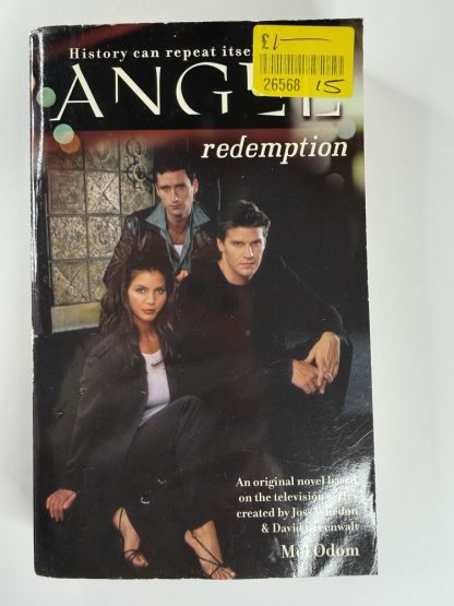 An image of the book Angel Redemption by Mel Odom